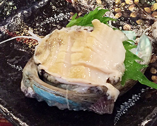 Abalone sashimi