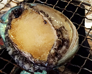 Grilled abalone