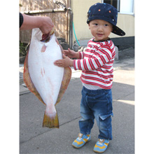 Will it be the fourth generation?!Akkun and a big flounder