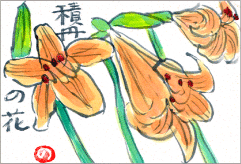 絵手紙2-積丹の花