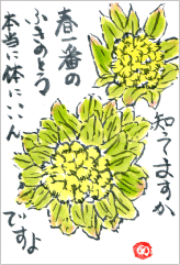 絵手紙3-春一番のふきのとう…