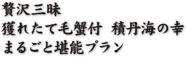 贅沢三昧獲れたて毛蟹付 積丹海の幸まるごと堪能プラン